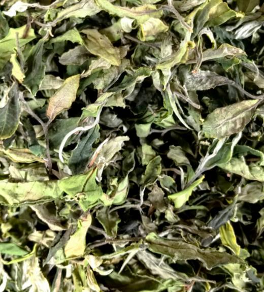 【AN】云南临沧 古树白茶 好品质口粮茶 商品图2