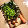 生态蔬菜箱（河南）  | 合作生产* Ecological vegetable box | Coproduction 商品缩略图2