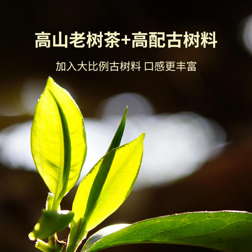 2023年007大饼  生茶  357克 商品图3