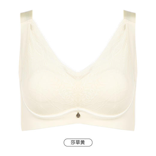 都市丽人舒软挺塑轻塑调整型内衣女蕾丝塑身CD杯3/4杯超薄文胸软钢圈四排扣LJ43C3 商品图12