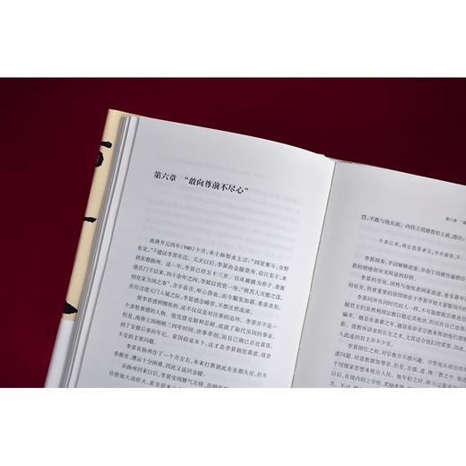 南唐史(任爽 著) 商品图3