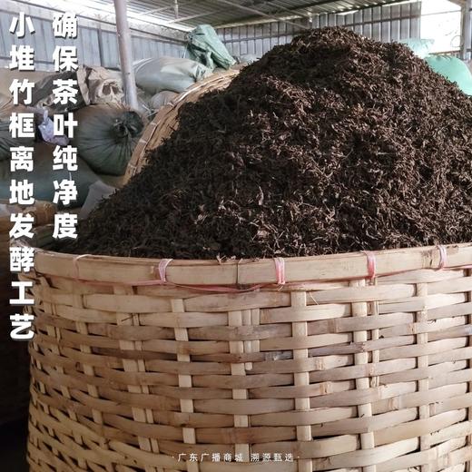 得闲饮茶·高端熟普 临仓双江高山荒养大树 独有木质香 枣香馥郁 五年陈 /《珠江第一线》力荐好茶【小堆离地发酵工艺/限量180饼】广东省内包邮 商品图4