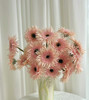 【拉丝弗朗】粉色拉丝菊  约10枝/扎 商品缩略图0