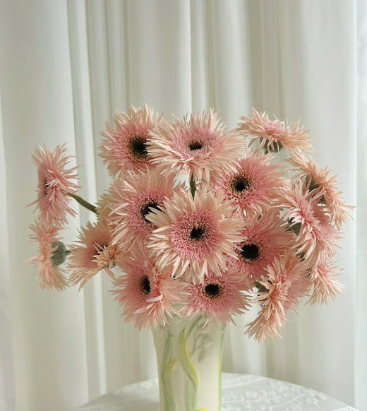 【拉丝弗朗】粉色拉丝菊  约10枝/扎 商品图0