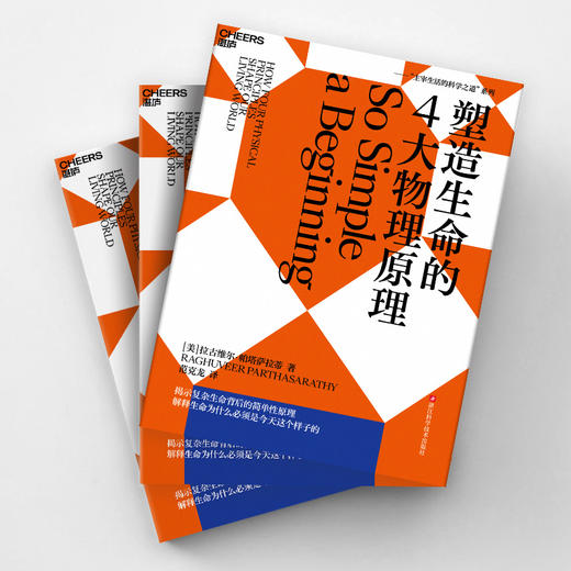 塑造生命的4大物理原理 商品图3