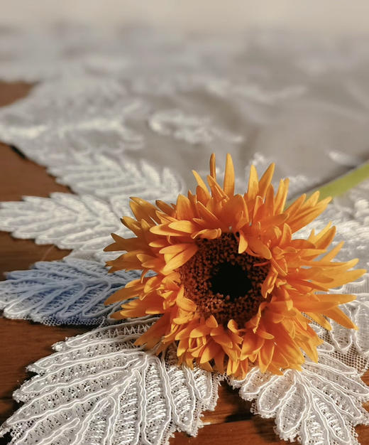 【拉丝弗朗】橙色拉丝菊  约10枝/扎 商品图3