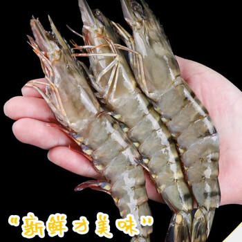 京东超市海外直采泰国活冻黑虎虾净重2斤 (31/40规格) 自营海鲜 商品图1
