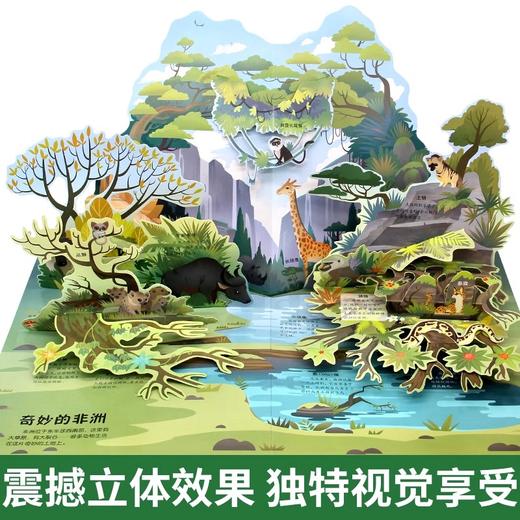 神奇的动物3D立体书 盒装 商品图2