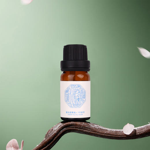 净精油 商品图4