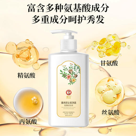 霸王  辣木籽止痒净屑氨基酸洗发液600g 10101022331 商品图1
