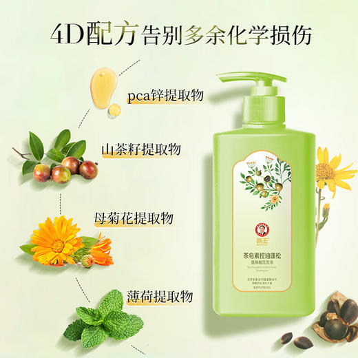 霸王  茶皂素控油蓬松氨基酸洗发液600g 10101022332 商品图1