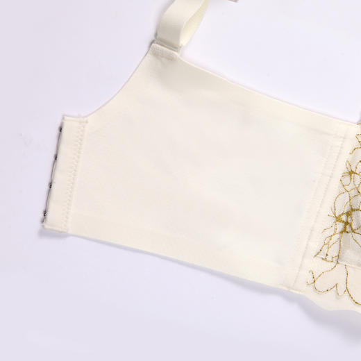 都市丽人舒软挺塑柔型杯轻塑塑身内衣女蕾丝B杯适穿3/4杯中厚调整型文胸无钢圈四排扣LJ41B2 商品图7