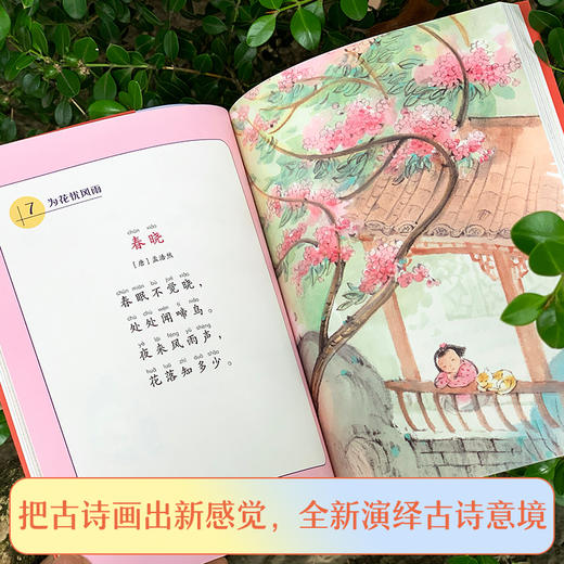 明月来相照：古诗原来可以这样学·新月篇（小学1-2年级）(朱爱朝) 商品图3
