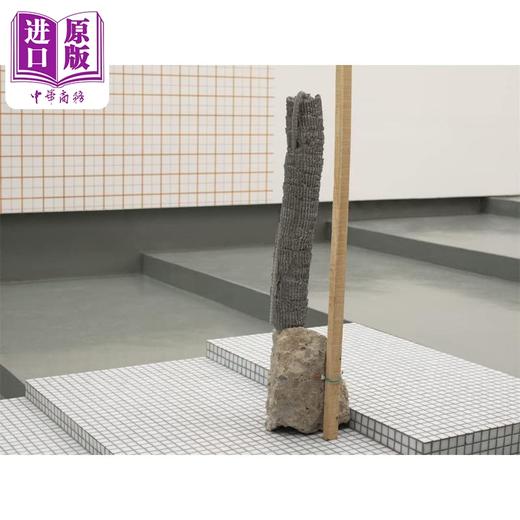 【中商原版】Zhang Ruyi (Bilingual Ed.) 进口艺术 张如怡 商品图1