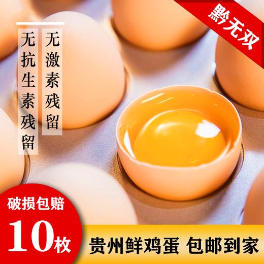 L无抗生素贵州鲜鸡蛋 10枚售15.9元 商品图4