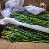 有机北京韭菜 | 合作生产* Organic Leek | Coproduction 商品缩略图5