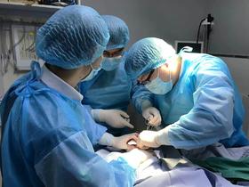 明星医生 | 放弃继承家族产业，深耕小动物眼专科诊疗 