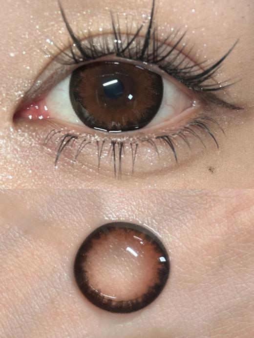 Focusmoon 半年抛 桂皮乌龙/冷泡可可/榛子卷卷 14.5mm 褐/红棕/巧棕 美瞳两片装 复古芭比感 商品图3