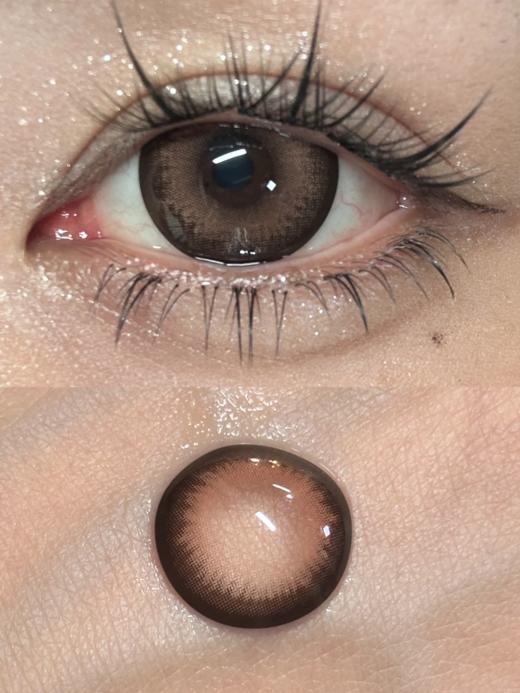 Focusmoon 半年抛 桂皮乌龙/冷泡可可/榛子卷卷 14.5mm 褐/红棕/巧棕 美瞳两片装 复古芭比感 商品图6