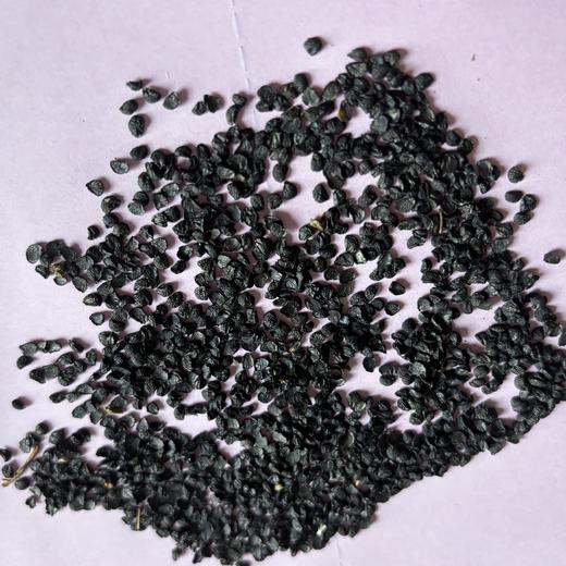 仙蒙  韭菜籽  韭菜子  500克  1kg 商品图1