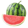 【19.6元4个】特价麒麟西瓜（1500560） 商品缩略图0