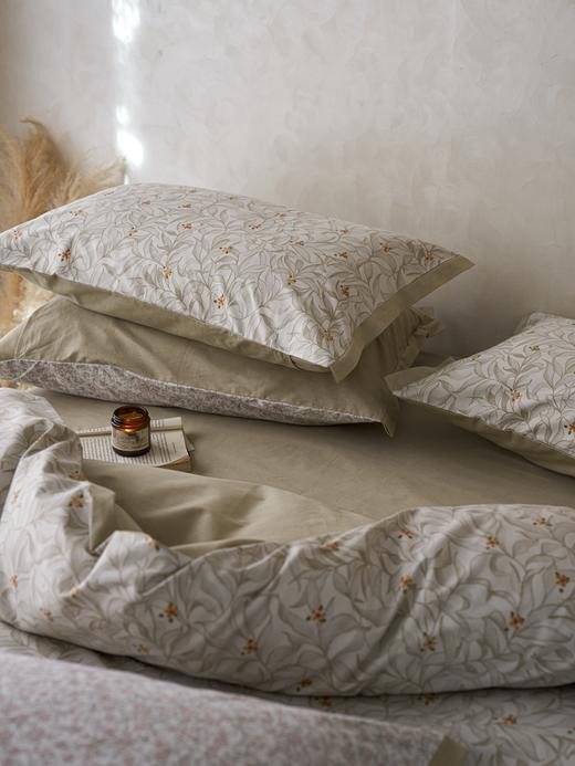 利路米家纺24年春夏新款精梳棉印花四件套香茗 商品图7