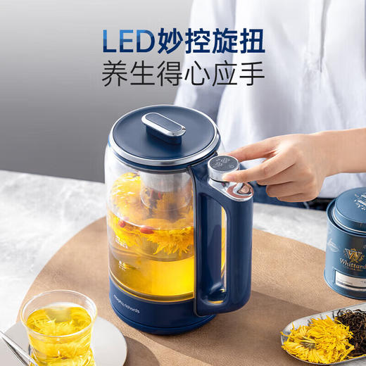 【小家电】摩飞养生壶1.5L大容量 MR6089 HF 商品图6
