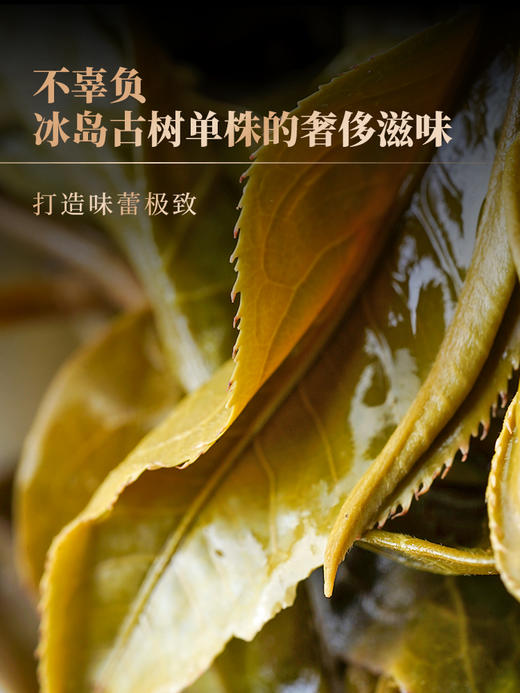 【鼎级奢侈品】【龙首—冰岛老寨龙珠】中国制茶大师全程亲制加监制代表了茶界蕞高端奢品，满足所有高端用茶场景需求；限量100罐出售，600克/罐，每罐赠送旅行锡罐一个 拍5发6 拍20发25 商品图10