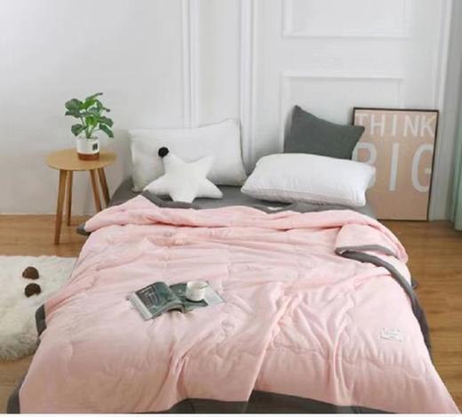 南5楼郡界朝颜雪绒可洗单人夏被 商品图0