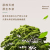 清风原木纯品实芯12卷I有芯10卷卷筒卫生纸2000克 【原生木浆 】 商品缩略图1