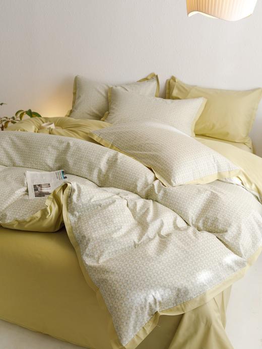 利路米家纺24年春夏新款精梳棉印花四件套派丽 商品图6