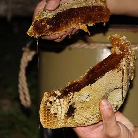 云南临沧老蜂巢蜜500克一盒