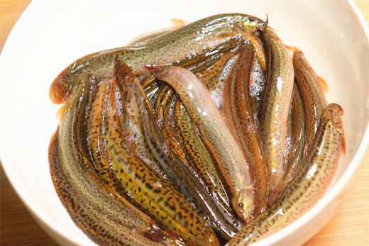 预售泥鳅5斤 商品图0