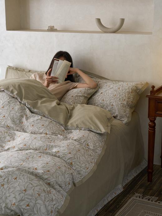 利路米家纺24年春夏新款精梳棉印花四件套香茗 商品图0