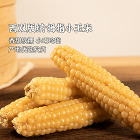 产地直发 | 【枝悦】云南版纳拇指小玉米傣家迷你手指香糯真空玉米棒宝宝即食早餐