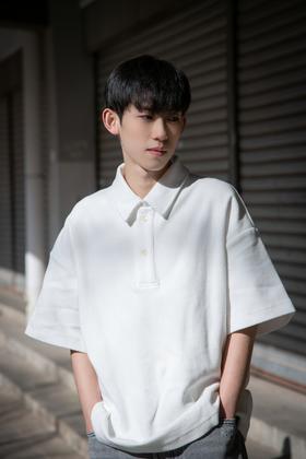 413012943极简短袖POLO衫