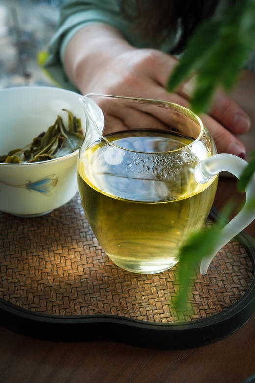 【2024野猪王】野猪林茶王树 商品图13