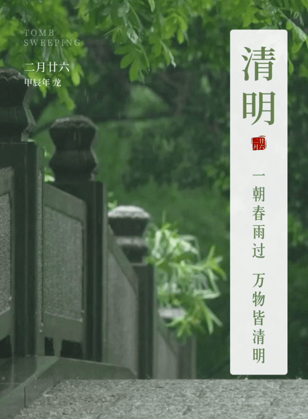清明 | 一朝春雨过，万物皆清明