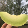 【时令】海南玉菇甜瓜 冰淇淋甜瓜 带箱5斤 商品缩略图2