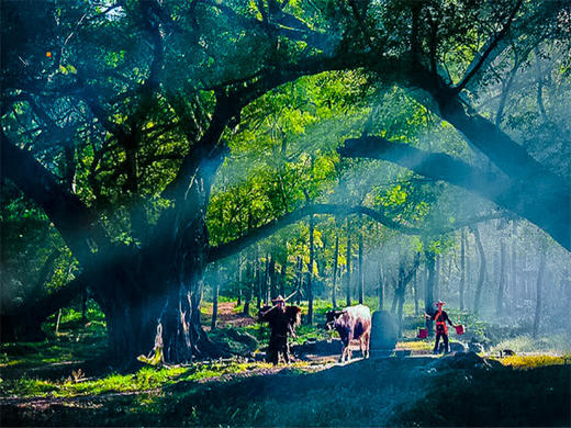 五一4日【平潭霞浦】｜福建网红小众线路の平潭蓝眼泪-旗冠顶-杨家溪-霞浦-北岐滩-四礵列岛 商品图5