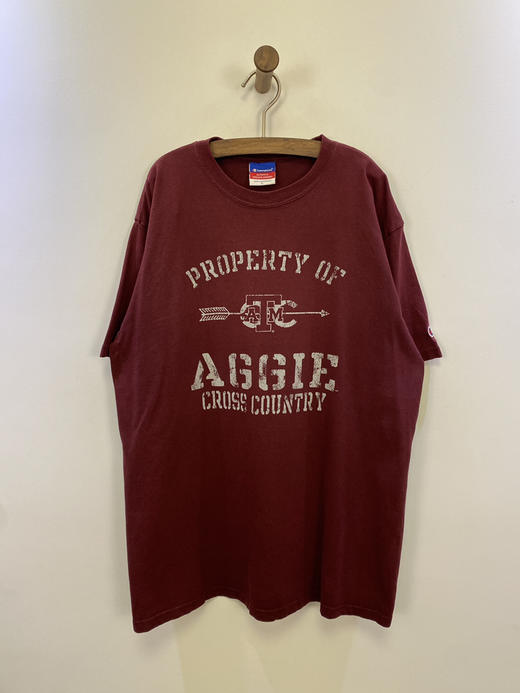 Y2K Vintage Champion 冠军 短袖T恤 _SST(L) 商品图0