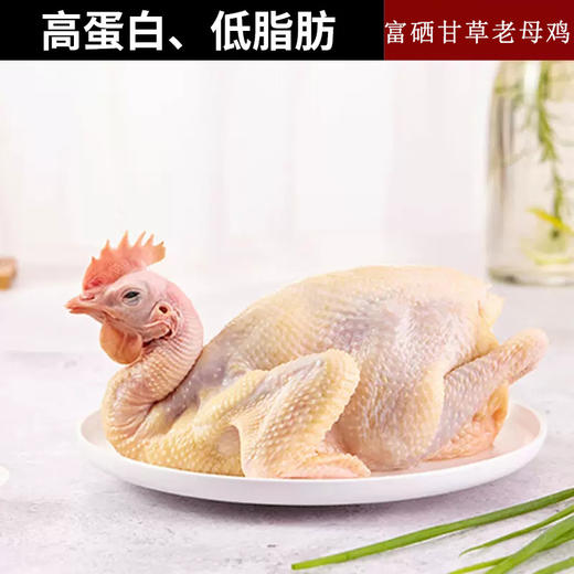伊玛目宁夏富硒甘草老母鸡清真 绿色有机认证正宗土鸡农家散养柴鸡笨鸡草鸡走地鸡新鲜现宰 顺丰冷链全国发货2只 商品图1