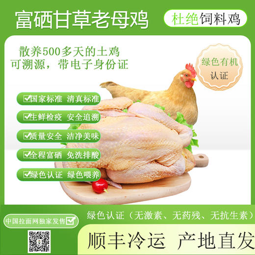 伊玛目宁夏富硒甘草老母鸡清真 绿色有机认证正宗土鸡农家散养柴鸡笨鸡草鸡走地鸡新鲜现宰 顺丰冷链全国发货2只 商品图0