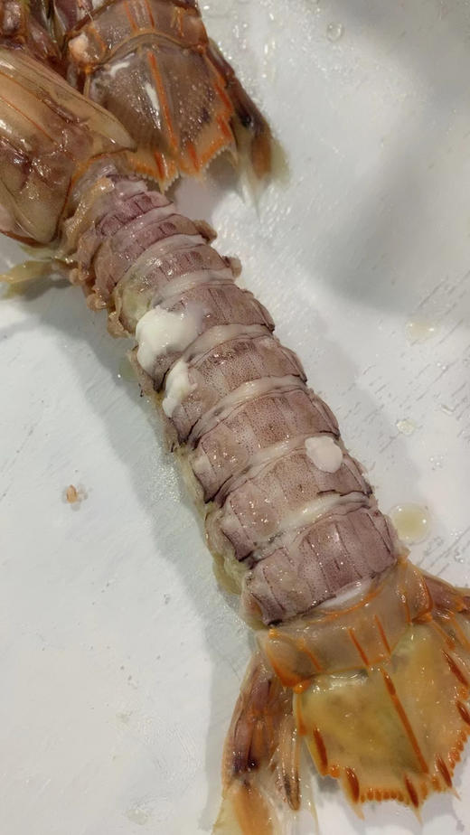 带膏皮皮虾 商品图2