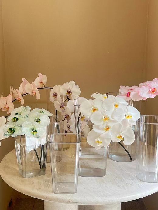 【亚克力透明养花桶】透明养花桶/圆桶/方桶 商品图3