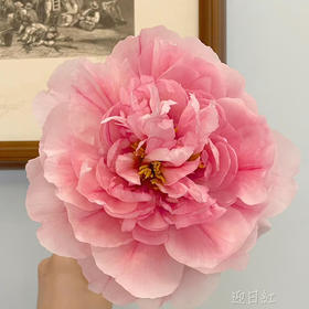 配花-牡丹-迎日红-10支