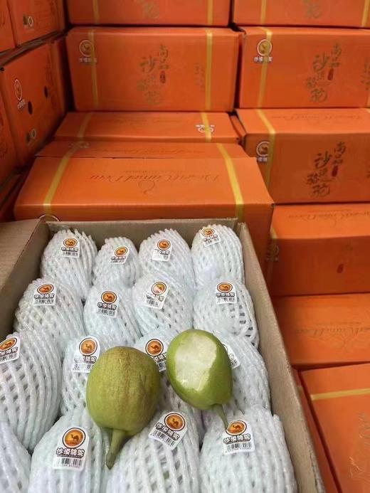 沙漠骆驼香梨一箱 商品图2