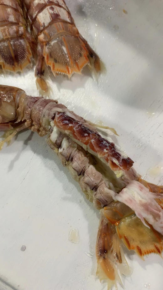 带膏皮皮虾 商品图3