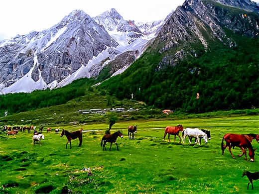 五一5日【稻城亚丁】川西经典の最后的香格里拉-水蓝色星球上的最后一片净土 商品图8