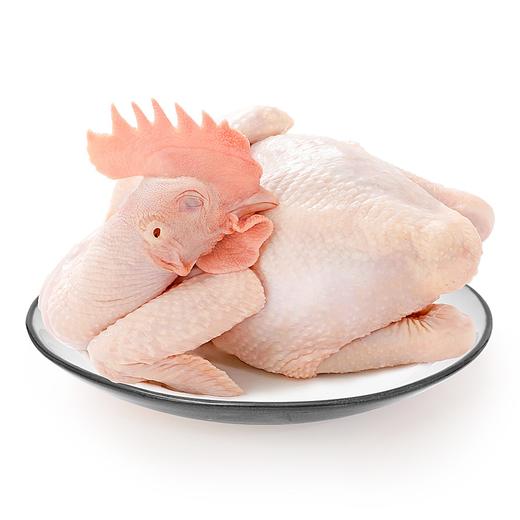 本家童子鸡（3-4斤）提前一天预定 商品图0